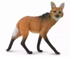 Wilk Maned L - zdjęcie