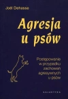 Agresja u psów. Postępowanie w przypadku zachowań agresywnych u psów - zdjęcie