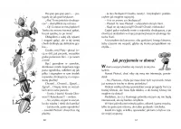 Przygody Plastusia, zdjęcie 2