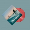 Radical Optimism - zdjęcie