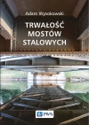 Trwałość mostów stalowych - zdjęcie
