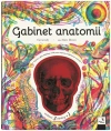 Gabinet anatomii - zdjęcie