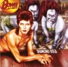 DIAMOND DOGS - zdjęcie