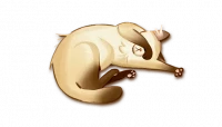 Purrramida, zdjęcie 15