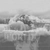 The Bones Of A Dying World. CD - zdjęcie