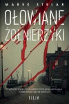Ołowiane żołnierzyki - zdjęcie