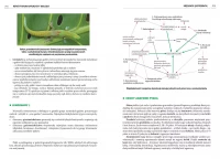 Repetytorium maturzysty - biologia, zdjęcie 3