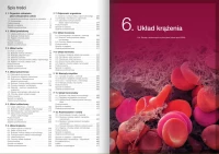 Nowa Biologia na czasie 3. Podręcznik dla liceum ogólnokształcącego i technikum. Zakres rozszerzony. Nowość 2026, zdjęcie 4