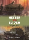 Hetzer vs SU-76M - zdjęcie