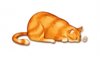Purrramida, zdjęcie 12