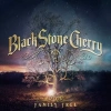 Family Tree, CD - zdjęcie