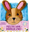 Przytul mnie Króliczku. Czytanka przytulanka - zdjęcie
