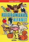 Kolorowanka Alfabet - zdjęcie