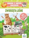 Nauka z kotem Maćkiem. Zwierzęta leśne - zdjęcie