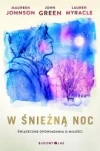 W śnieżną noc - zdjęcie