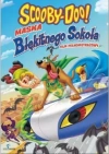 Scooby-Doo i Maska Błękitnego Sokoła, DVD - zdjęcie