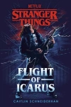 Stranger Things Flight of Icarus - zdjęcie