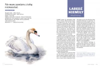 Głupie ptaki Polski. Przewodnik świadomego obserwatora, zdjęcie 3