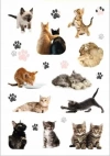 HERMA NAKLEJKI SCRAPBOOKING MOTYWACYJNE KOTY KOTKI ŁAPKI ŁAPKI KOTEK KOT - zdjęcie