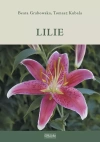 Lilie - zdjęcie