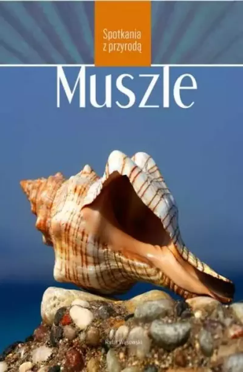 Muszle Muszle