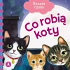 Co robią koty - zdjęcie