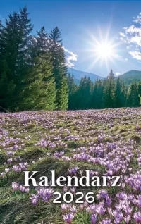 Kalendarz zdzierak tradycyjny 2026 z poradami zrywany zdzierany, zdjęcie 2