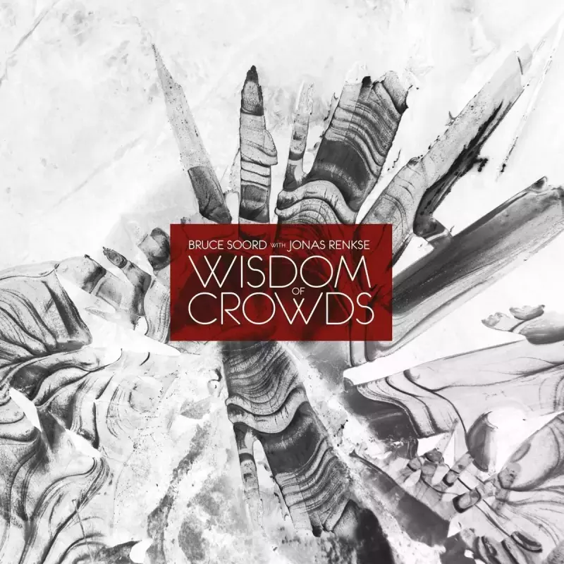 Wisdom Of Crowds LP, Winyl Wisdom Of Crowds LP, Winyl