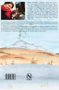 Strategie adaptacyjne imigrantów: przypadek Polaków w Islandii, zdjęcie 2