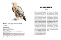 Głupie ptaki Polski. Przewodnik świadomego obserwatora, zdjęcie 4