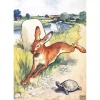 Karnet B6 z kopertą The Hare and the Tortoise - zdjęcie