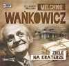 Ziele na kraterze. Audiobook - zdjęcie