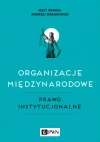 Organizacje międzynarodowe. Prawo instytucjonalne - zdjęcie