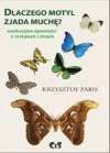 Dlaczego motyl zjada muchę - zdjęcie