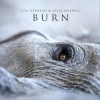 Burn, LP - zdjęcie