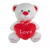 Maskotka Miś LOVE 2 kolory 25cm 159267 - zdjęcie