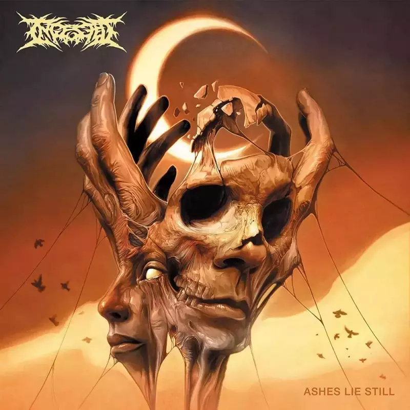Ashes Lie Still, kolorowy LP