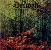 Autumn Aurora. CD - zdjęcie