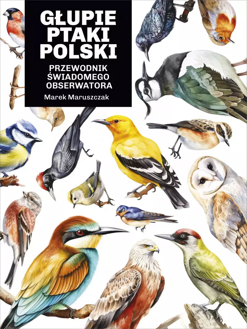 Głupie ptaki Polski. Przewodnik świadomego obserwatora Głupie ptaki Polski. Przewodnik świadomego obserwatora
