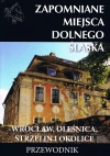 Zapomniane miejsca Dolnego Śląska. Wrocław, Oleśnica, Strzelin i okolice. Przewodnik - zdjęcie