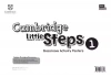 Cambridge Little Steps 1 Classroom Activity Posters - zdjęcie