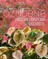 Ozdobne krzewy i drzewa liściaste - zdjęcie