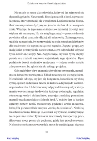 Działo na łososie i lewitująca żaba. Zwariowana nauka i jej całkiem poważne odkrycia, zdjęcie 20