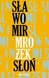 Słoń - zdjęcie