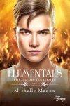 Elementals Tom 4 Portal do Kerberosu - zdjęcie