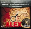 Zmącony spokój pani labiryntu. Audiobook - zdjęcie
