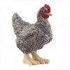 Farm World. SLH13997. Kura Plymouth Rock - zdjęcie
