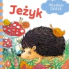 Jeżyk - zdjęcie