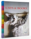 Cats & Books - zdjęcie