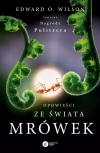Opowieści ze świata mrówek w.2024 - zdjęcie